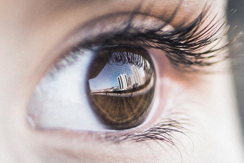 Create Your Vision
