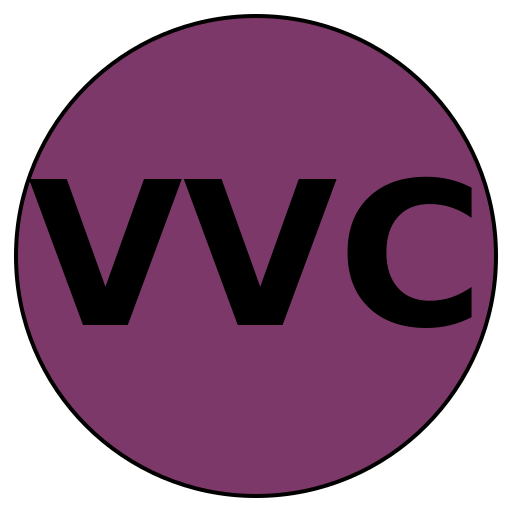 VirtueVision Careers